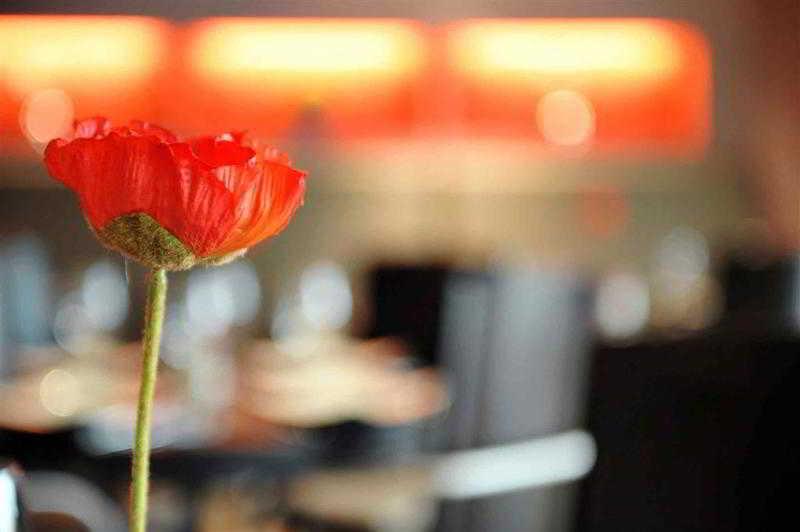 Mercure Hotel Brussels Airport Дигем Экстерьер фото